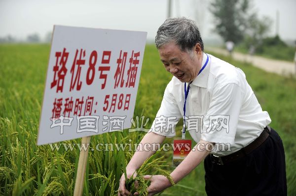 点击放大
