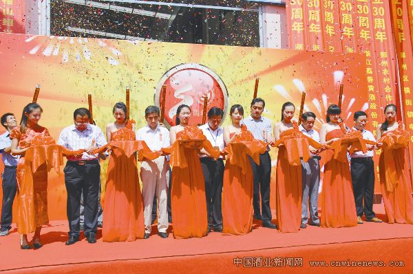 点击放大