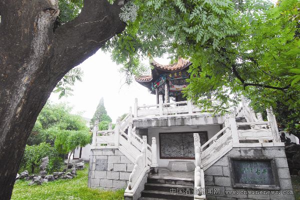 点击放大