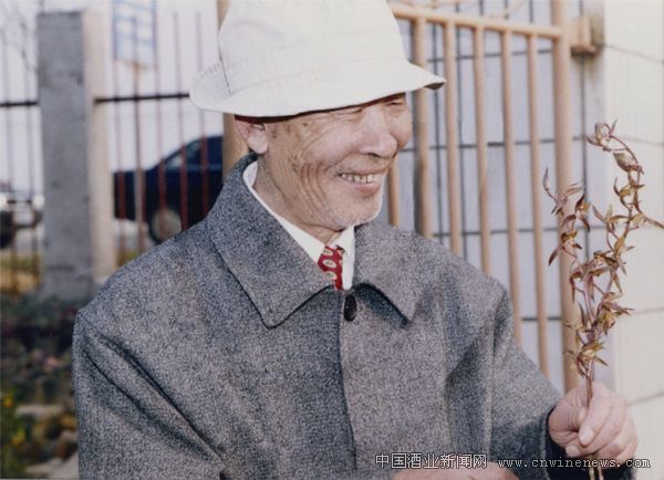 点击放大