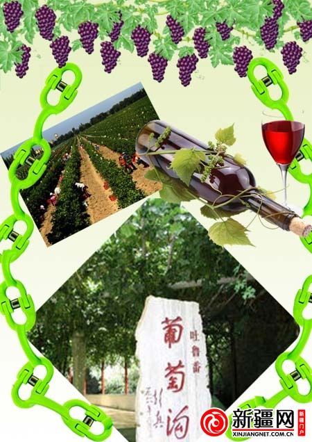 （制图：张卫政）