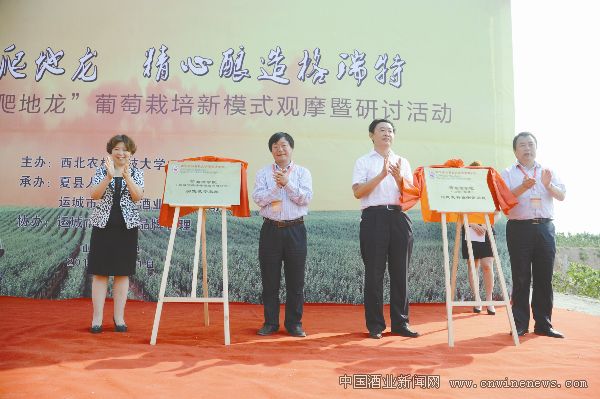 点击放大