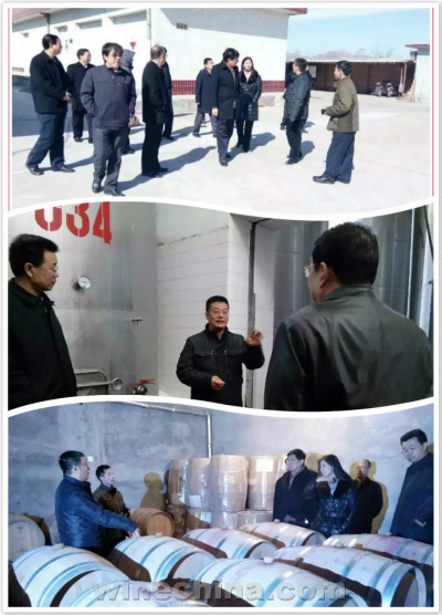 中国葡萄酒地理标志示范区有望在沙城建立