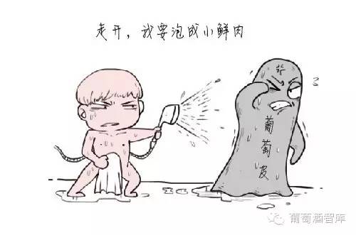 万万没想到，葡萄酒的颜色还藏着那么多秘密
