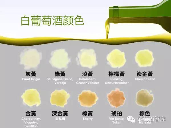 万万没想到，葡萄酒的颜色还藏着那么多秘密