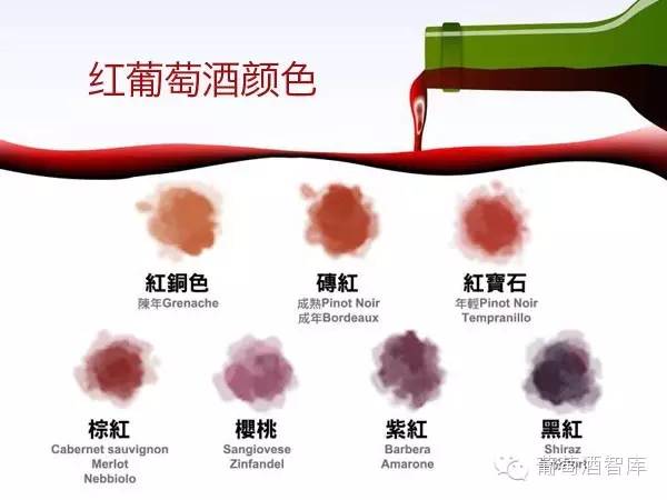 万万没想到，葡萄酒的颜色还藏着那么多秘密